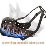 Agitation Training Leather Blue Flames Painted Dog Muzzle