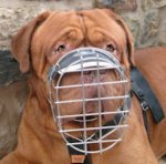 Big Wire Basket Dog Muzzle for Dogue De Bordeaux