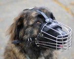 Wire Dog Muzzle for Kavkazskaya Ovcharka-Caucasian Shepherd DOG