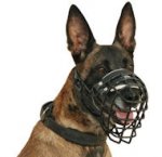Best Wire Dog Muzzle for Belgian Malinois-Ruber Coated Muzzle