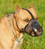Professional Leather Dog Muzzle for Medium and Large Breeds