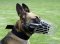 Full Padded Basket wire dog muzzle perfect for Malinois
