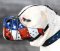 Hand Painted ''American Flag'' Leather Dog Muzzle