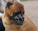Bullmastiff Wire Basket dog muzzle-Large dog muzzle