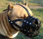 Everyday Light Weight Super Ventilation Amstaff muzzle