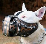 English Bull Terrier Hand painted leather Dog muzzle "Dondi"Plus