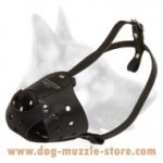 Everyday Leather Dog Muzzle for Large Breeds