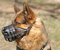 Everyday Light Weight Ventilation German Shepherd muzzle