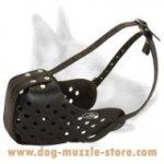 Training Leather Dog Muzzle Of Premium Quality
