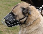 Basket Wire Dog Muzzle Light For Anatolian Shepherd
