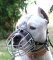 American Staffordshire Terrier Wire Basket Dog Muzzles