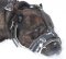 Royal Nappa Leather Dog Muzzle - FULL PADDED DOG MUZZLE