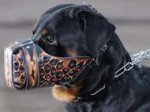 Hand painted by our artists leather Muzzle "Dondi" Plus-Rottweil