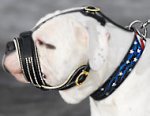 American bulldog Royal Nappa Leather Dog Muzzle
