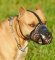 Professional Leather Dog Muzzle for Medium and Large Breeds