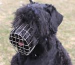 Russian Terrier Wire Basket Dog Muzzle for Training and Walking