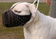 Leather dog muzzle "Dondi"-pluse style For American Bulldog m55