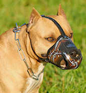 Professional Leather Dog Muzzle for Medium and Large Breeds