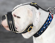 American bulldog Royal Nappa Leather Dog Muzzle