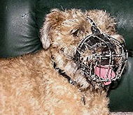 Border Terrier Wire Basket Muzzles-dog muzzle for Border Terrier