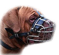 Best Big Wire Muzzle for Dogue De Bordeaux Basket-Cage Dog Muzzl
