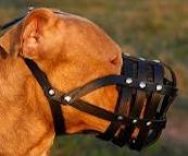 Everyday Light Weight Super Ventilated Pit bull muzzle