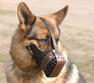 Leather dog muzzle "Dondi"-plus style For German Shepherd