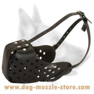 Training Leather Dog Muzzle Of Premium Quality