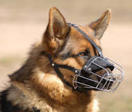 dog muzzle for gsd