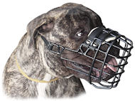 Everyday Cage Large wire Dog Muzzle for Bullmastiff