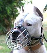 American Staffordshire Terrier Wire Basket Dog Muzzles