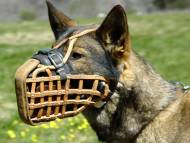 Malinoies Leather basket dog muzzle - dog training muzzle