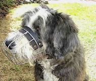 Polish Lowland Sheepdog Wire Basket dog muzzle