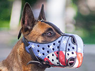 best muzzle for belgian malinois