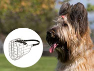 briard-muzzles