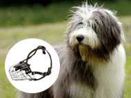 polish-lowland-shepherd-muzzles