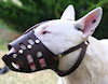 English bull terrier leather dog muzzle- best dog muzzle for bull terrier