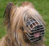 Briard dog Muzzles 