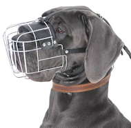 Great Dane Wire Basket dog muzzle-Large dog muzzle