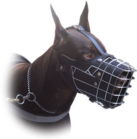 police dog muzzle