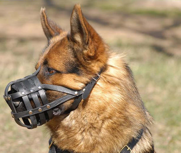 Everyday Light Weight Ventilation German Shepherd muzzle