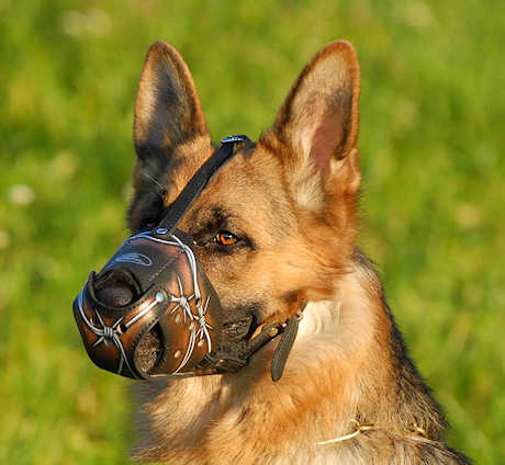 German Shepherd art designer Leather dog muzzle