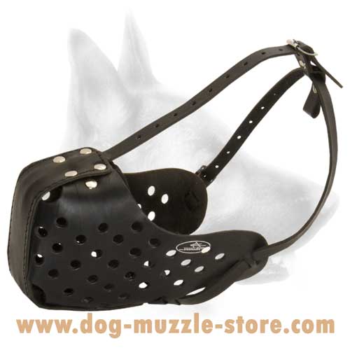 Training Leather Dog Muzzle Of Premium Quality