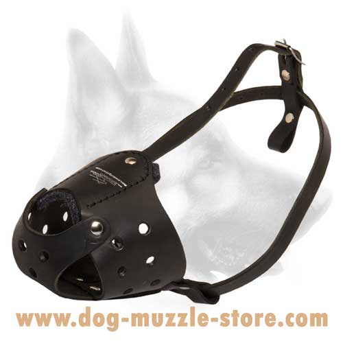 Everyday Leather Dog Muzzle for Large Breeds