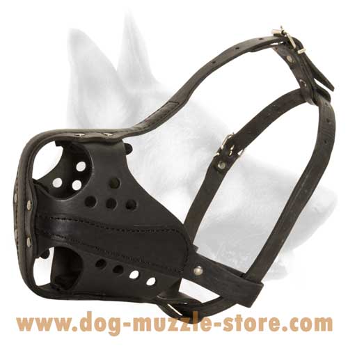 Attack Training Leather Dog Muzzle