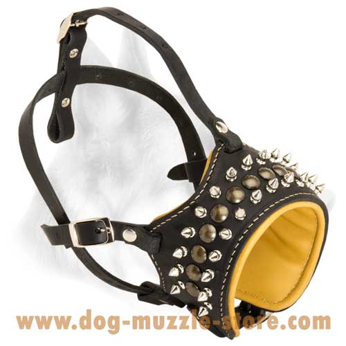 Padded Medium Breeds Leather Dog Muzzle With Spikes