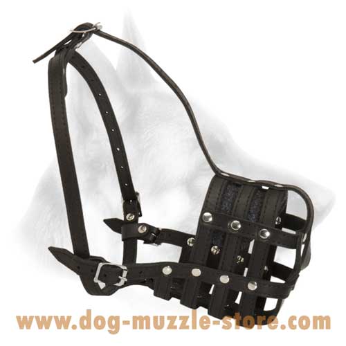 Well Ventilated Leather Dog Muzzle