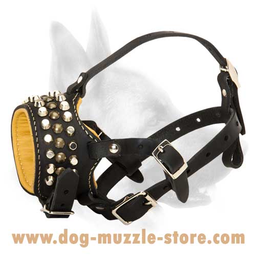 Royal Dog Muzzle Decorated With Pyramids