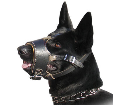 GERMAN SHEPHERD PADDED LEATHER MUZZLE - No Bark Dog Muzzle GSD