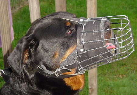 Rottweiler FULL PADDED WIRE BASKET DOG MUZZLE-padded muzzle